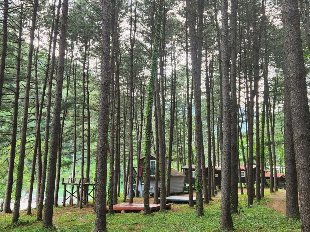 Hongcheon Gongjaksan Recreational Forest Pension 외부 사진