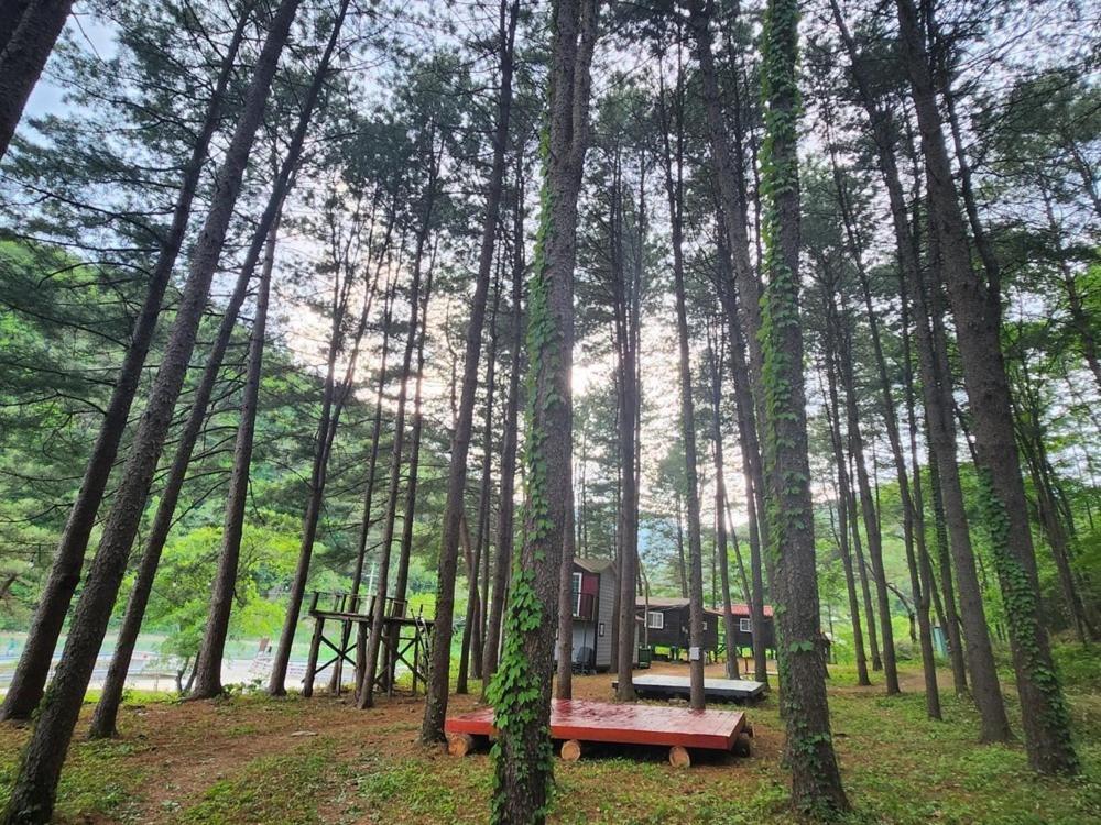 Hongcheon Gongjaksan Recreational Forest Pension 외부 사진