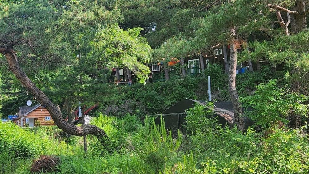 Hongcheon Gongjaksan Recreational Forest Pension 외부 사진